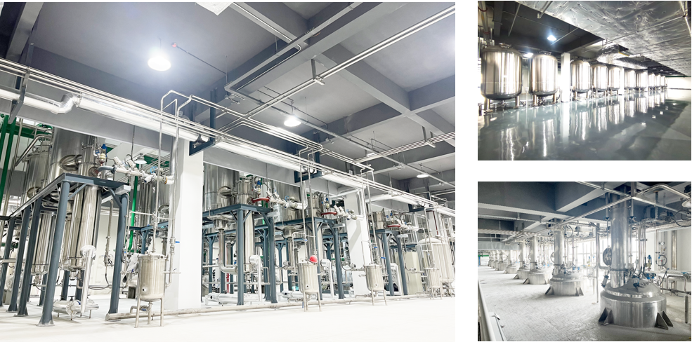 �������š�yl(�й���)�ٷ���վ