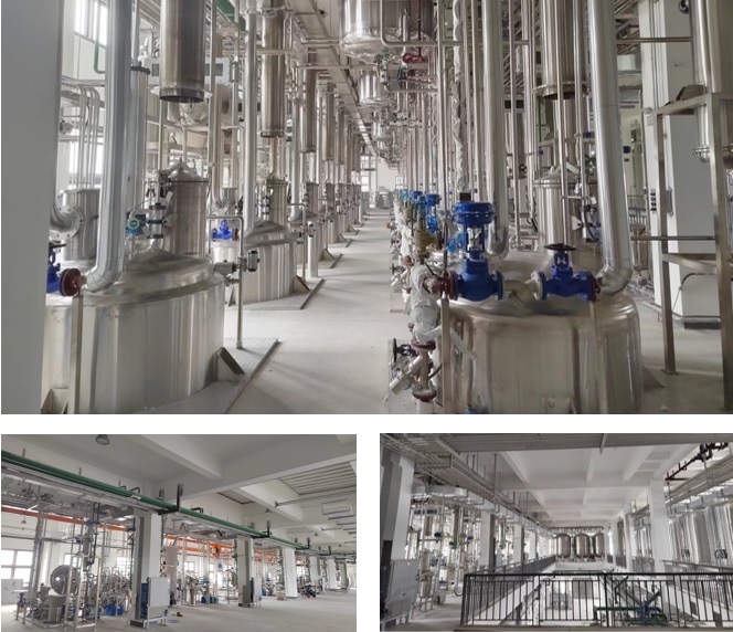 �������š�yl(�й���)�ٷ���վ