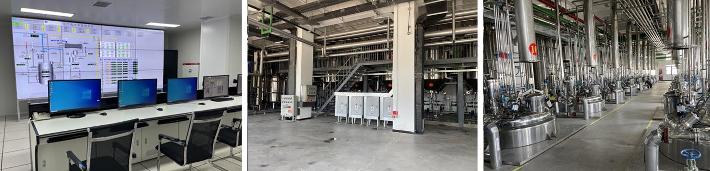 �������š�yl(�й���)�ٷ���վ