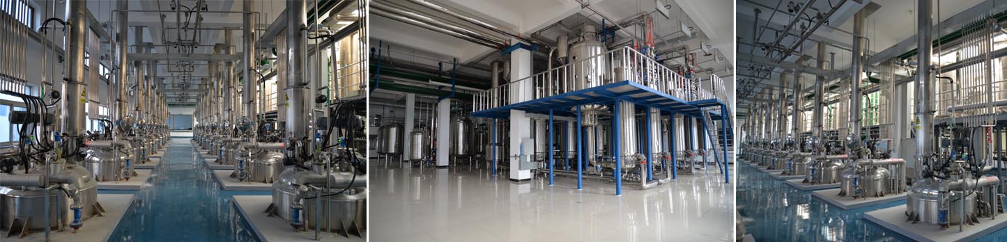 �������š�yl(�й���)�ٷ���վ